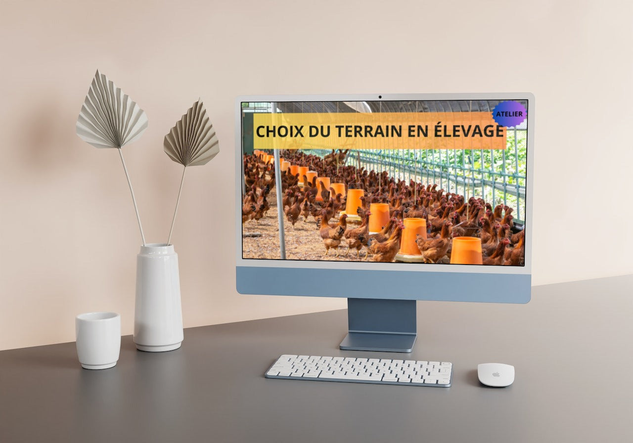 Atelier Elevage : Choix Du Terrain en Elevage