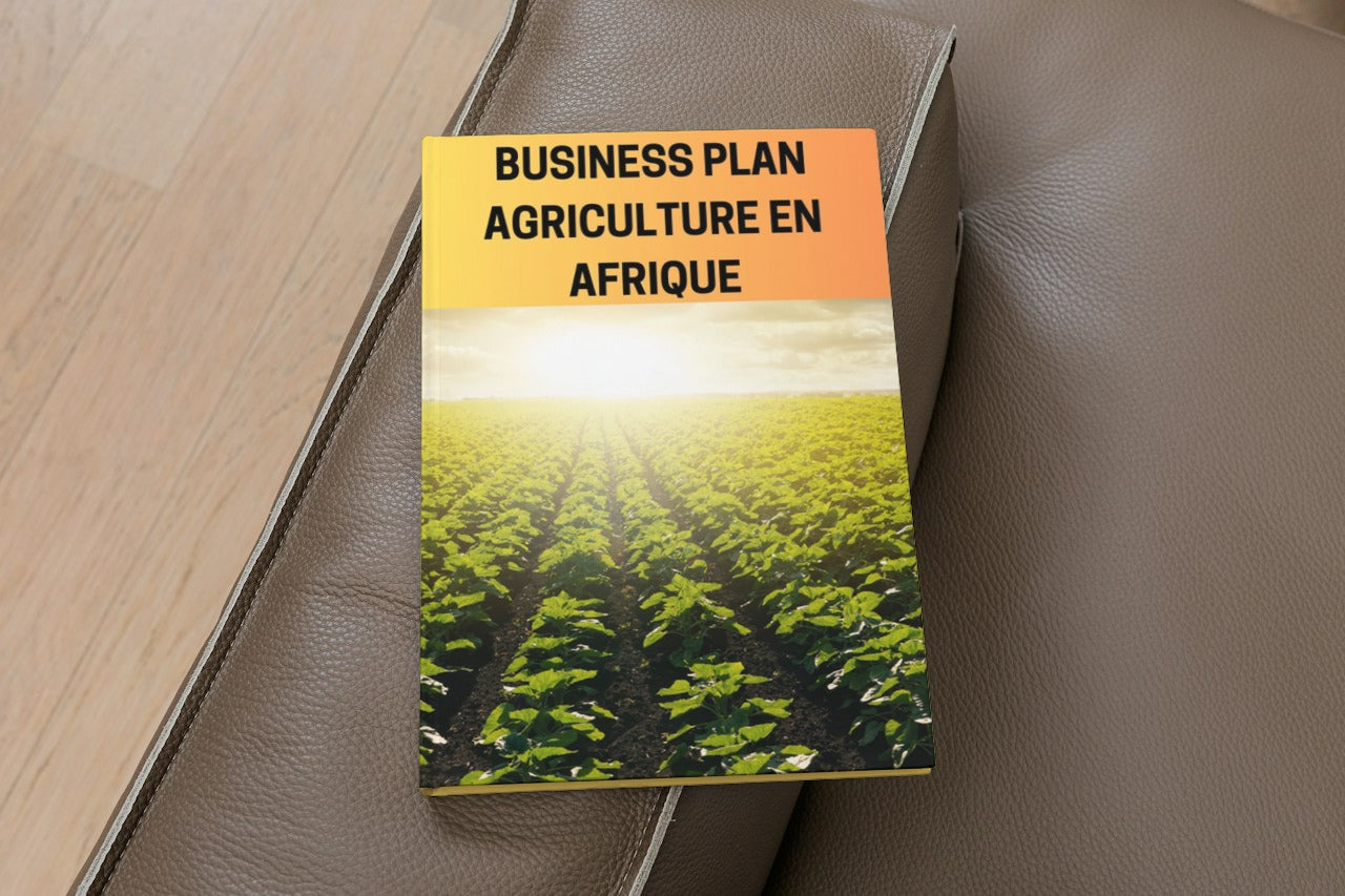 Template Business Plan Agricole - Dossier Financier