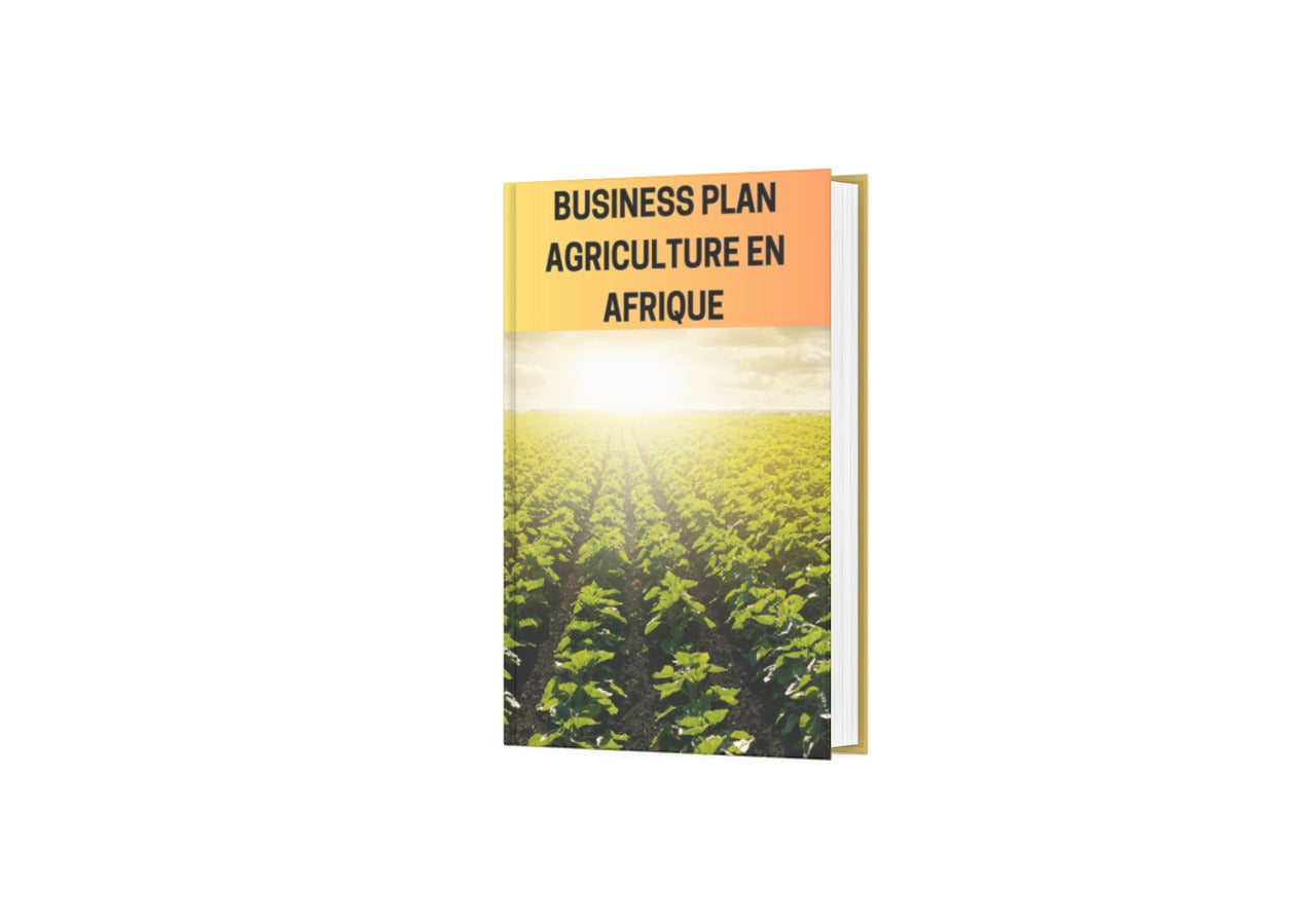 business plan agriculture en afrique