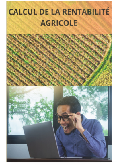 Template Calcul de La Rentabilité Agricole