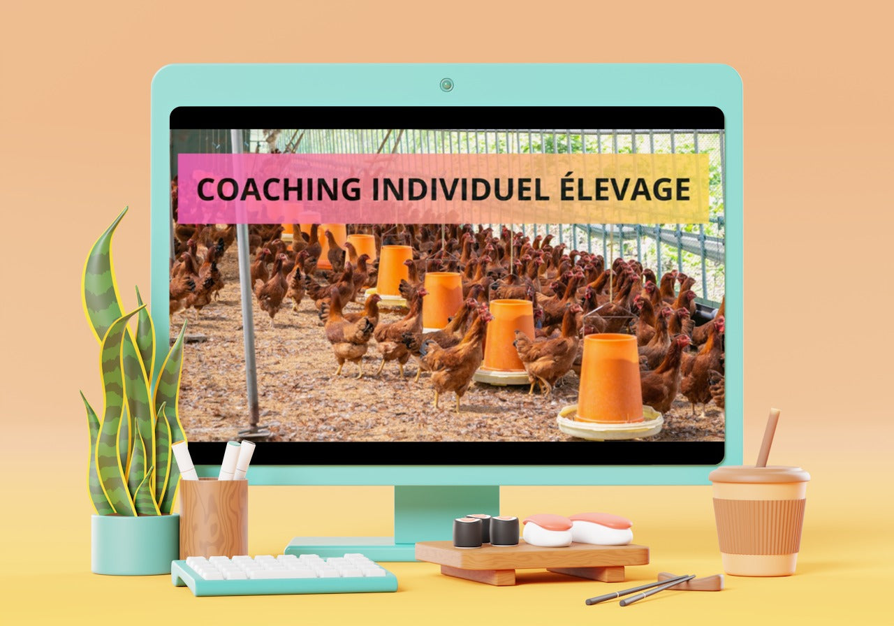 Coaching Individuel Élevage