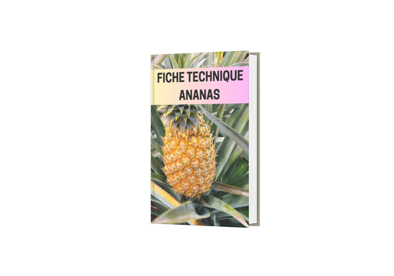 Fiche Technique Production Ananas