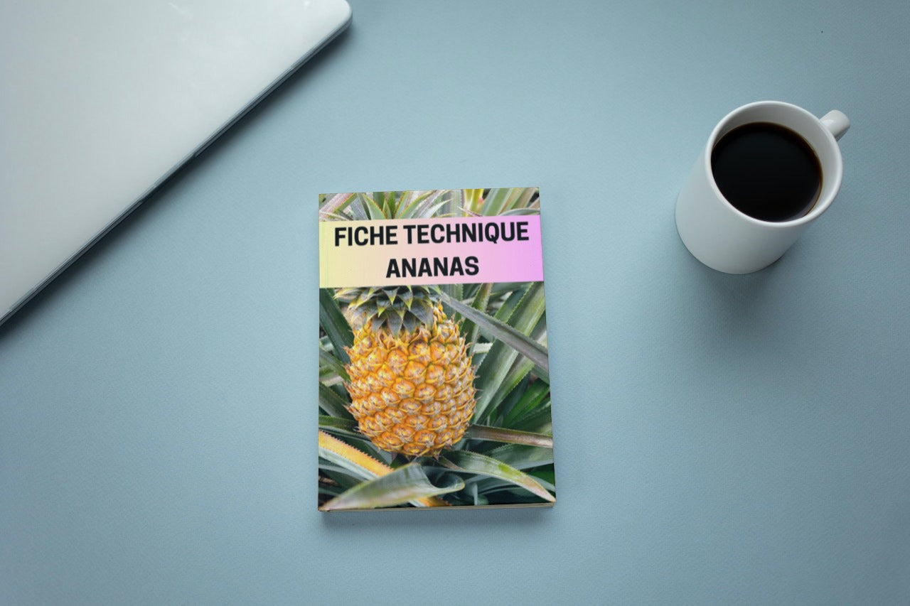 Fiche Technique Production Ananas