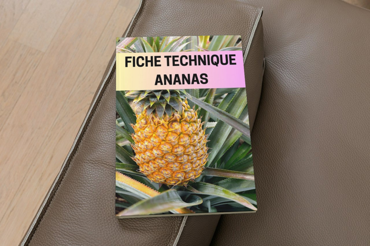 Fiche Technique Production Ananas