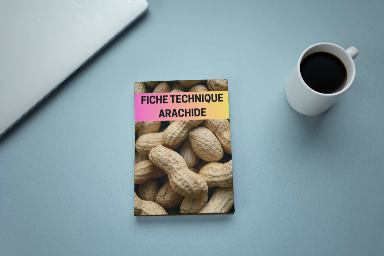 Fiche Technique Production Arachide