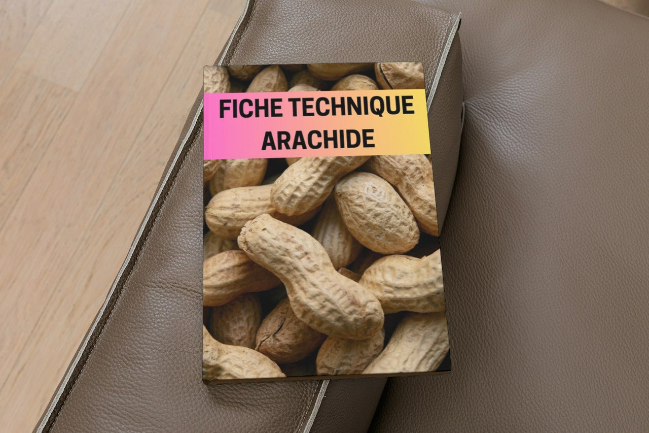 Fiche Technique Production Arachide