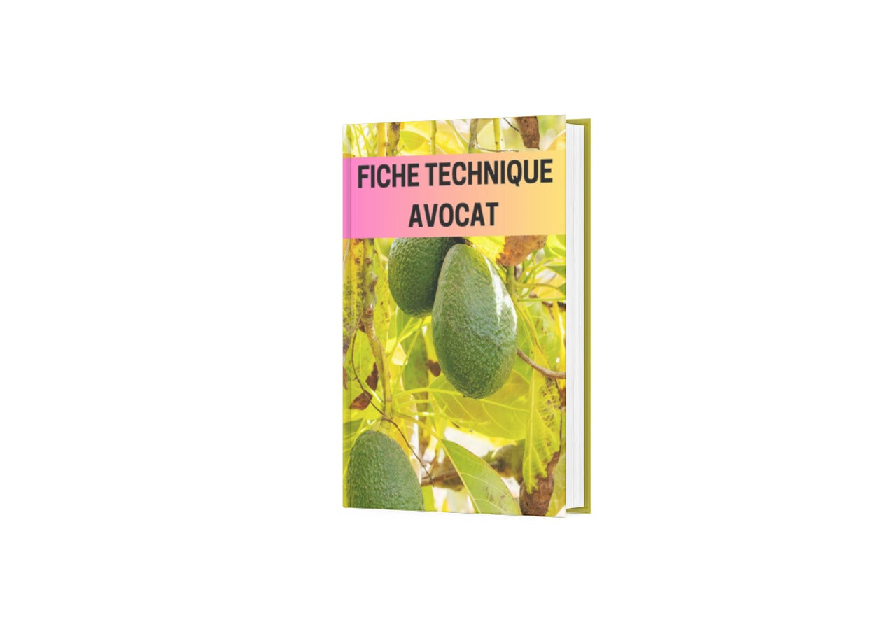 Fiche Technique Production Avocat