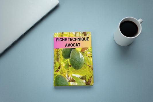 Fiche Technique Production Avocat