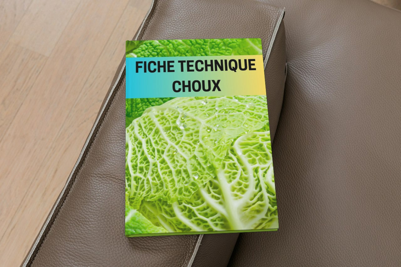 Fiche Technique Production Choux