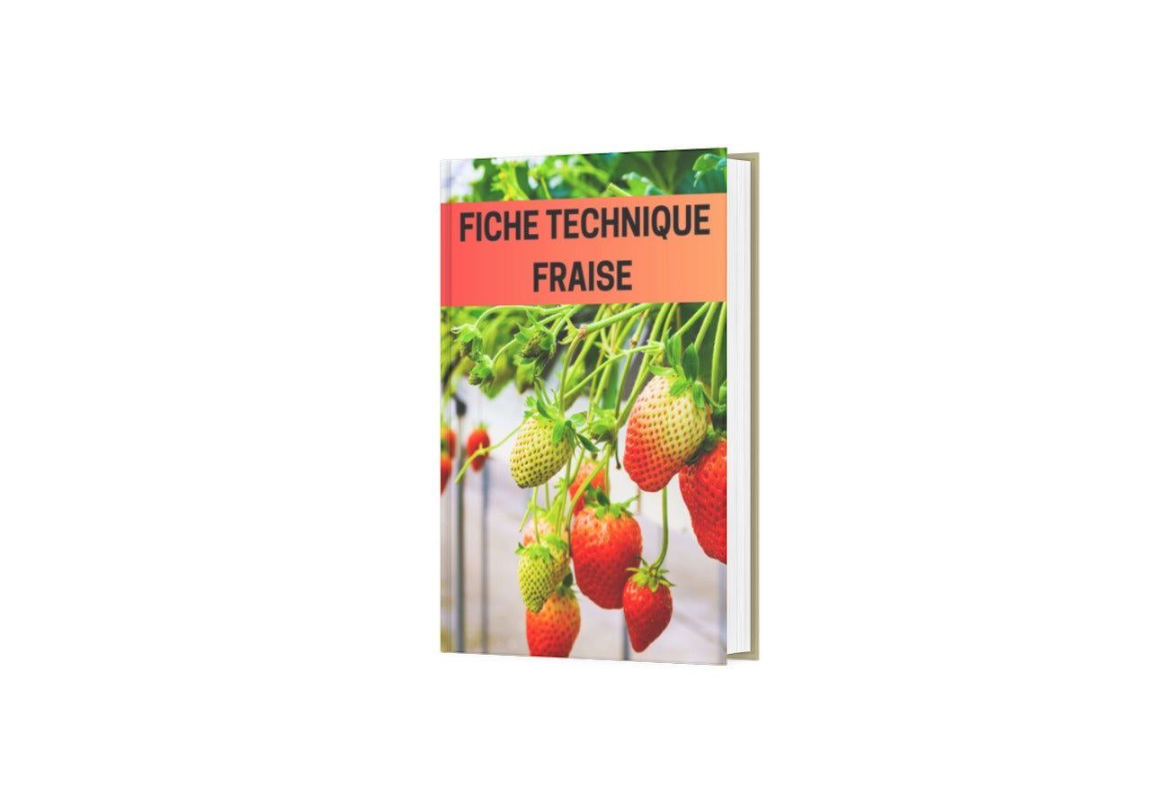 Fiche Technique Production Fraise