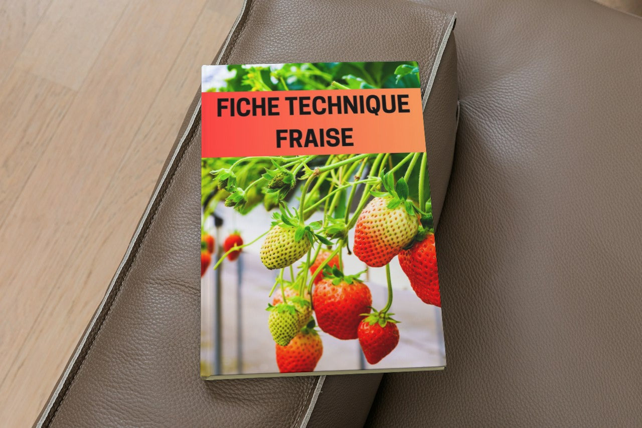 Fiche Technique Production Fraise