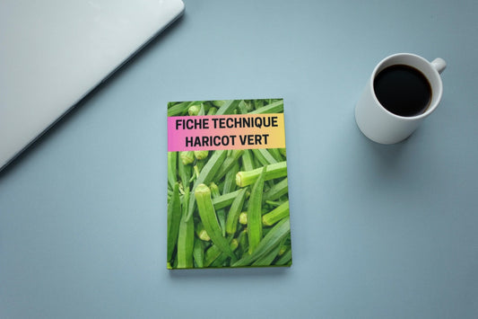 Fiche Technique Production Haricot Vert