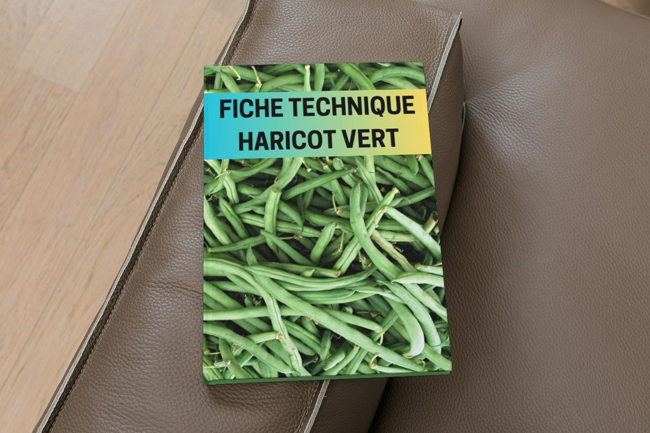 Fiche Technique Production Haricot Vert