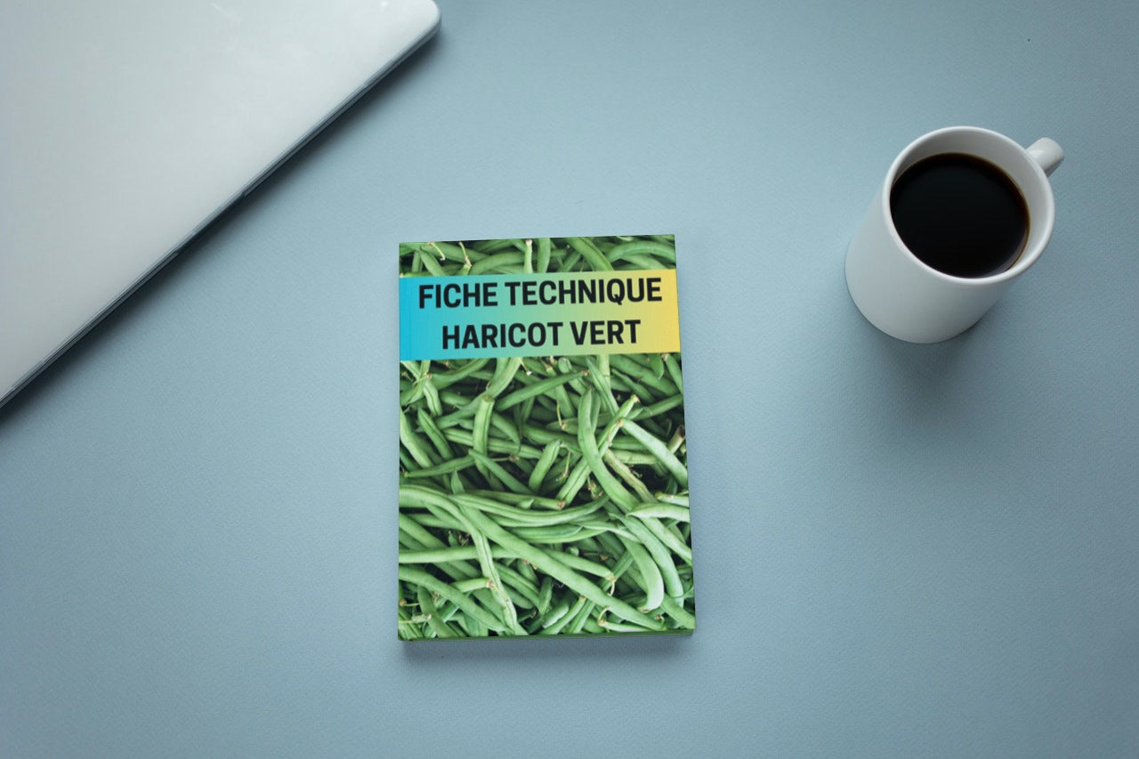 Fiche Technique Production Haricot Vert