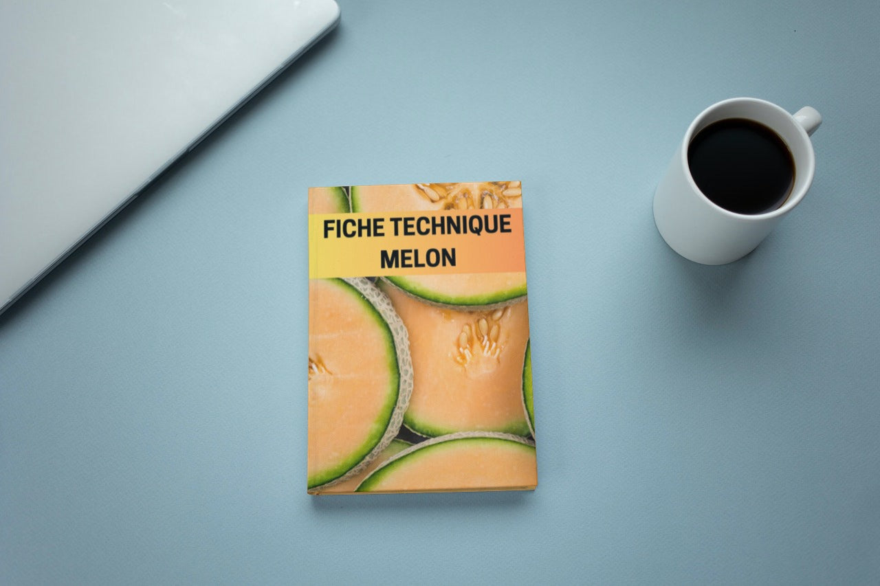 Fiche Technique Production Melon