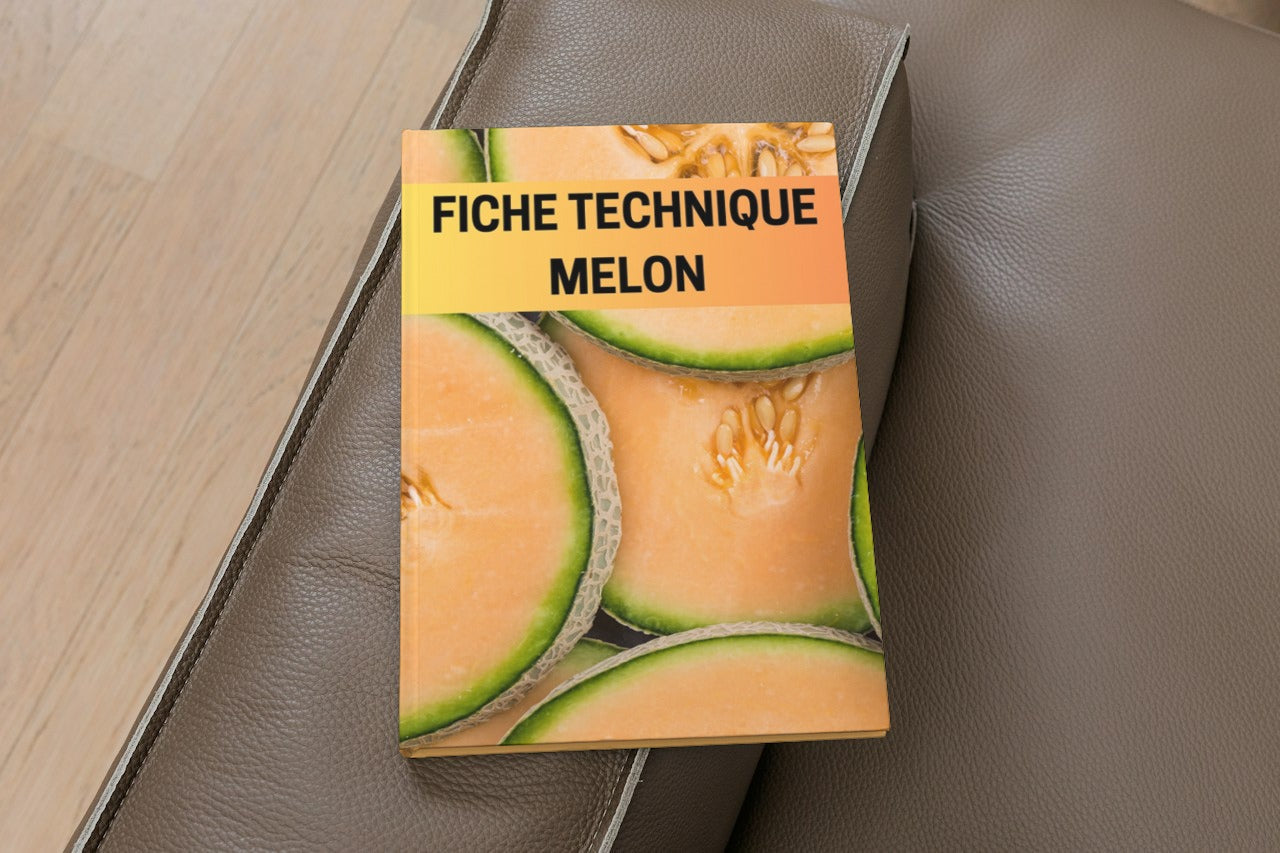 Fiche Technique Production Melon