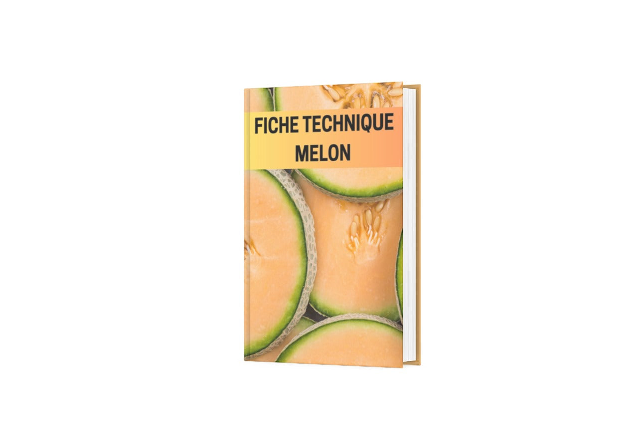 Fiche Technique Production Melon