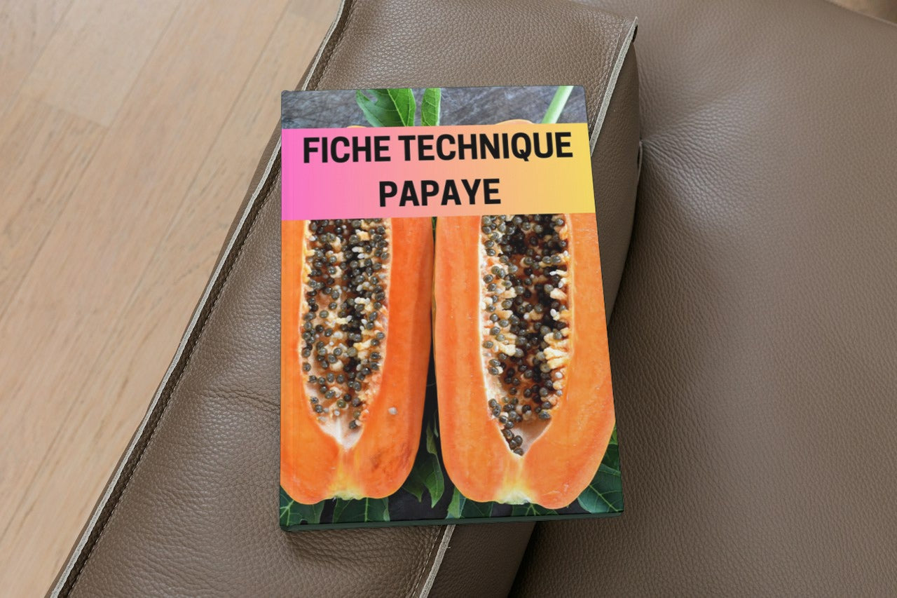 Fiche Technique Production Papaye