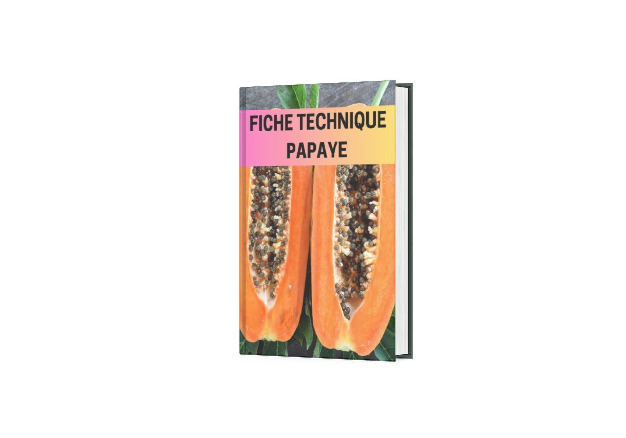 Fiche Technique Production Papaye
