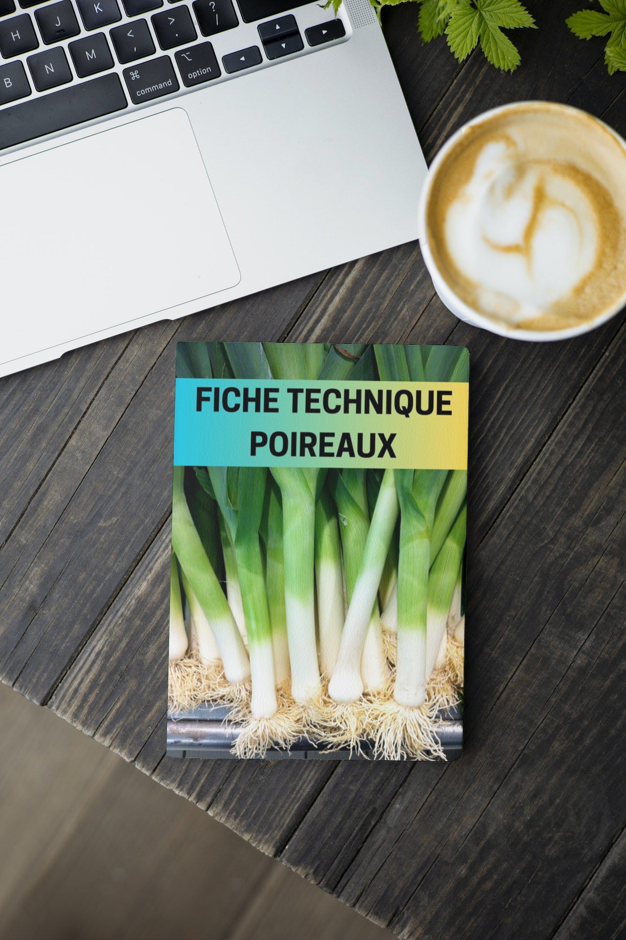 Fiche Technique Production Poireaux