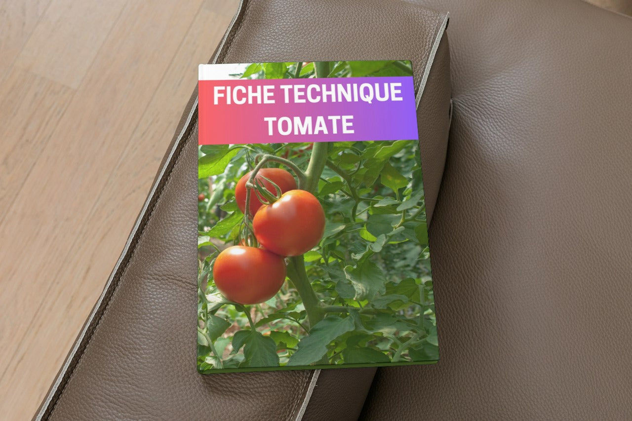 Fiche Technique Production Tomate